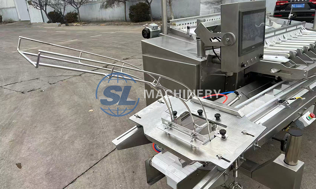 Blueberry weighing and packaging machine for delicate fruit packing