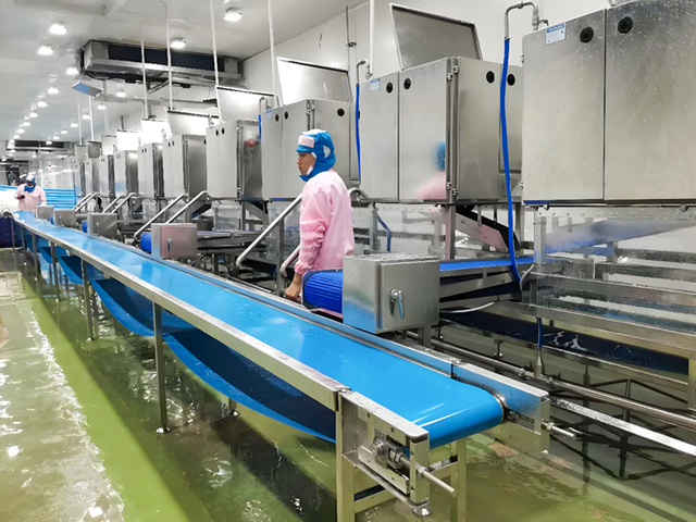 Shanlin machinery factory view for seafood processing equipment