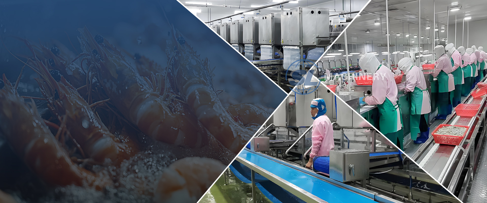 Shrimp peeling machine used in seafood processing plant