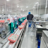 Shrimp Peeling Machine