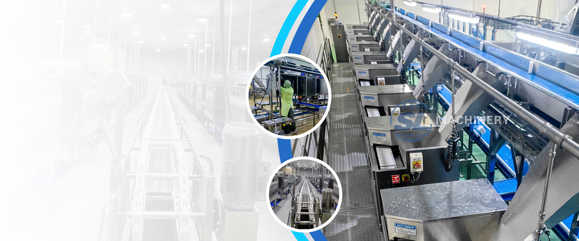 Seafood processing line with shrimp peeling equipment