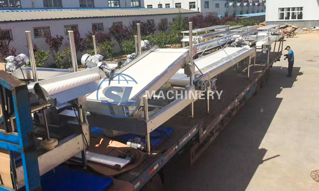 Complete blueberry packing line with stainless steel conveyor system