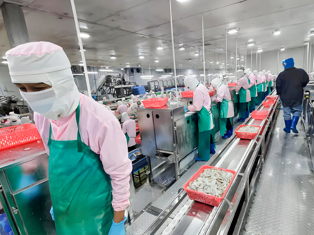 Food processing equipment assembly area in Shanlin factory