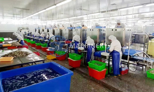 Shrimp peeling and deveining machine used in seafood processing plant