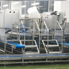 Shrimp Peeling Machine