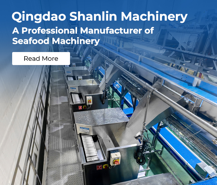 Seafood processing line with shrimp peeling equipment