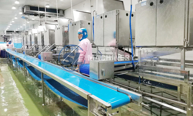 Automatic shrimp processing line with conveyor and peeling equipment