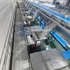 Shrimp Peeling Machine