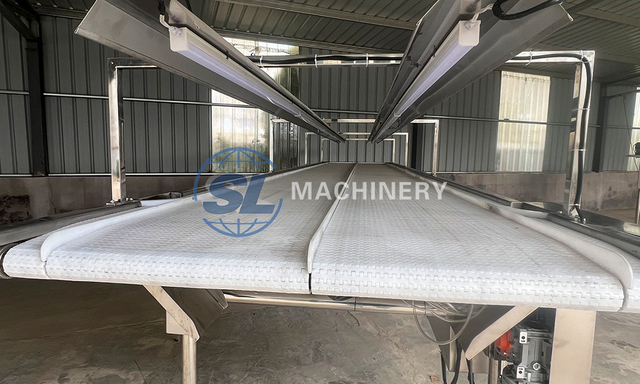 Food grade conveyor belt for vegetable and fruit processing line