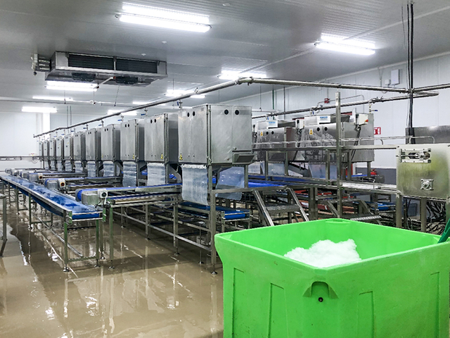 Shanlin factory workshop for seafood processing machinery production