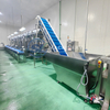 Shrimp Peeling Machine