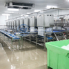 Shrimp Peeling Machine