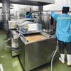 Electric Continuous Fryer Machine