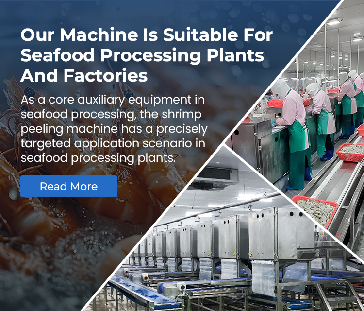 Shrimp peeling machine used in seafood processing plant