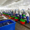Shrimp Peeling Machine